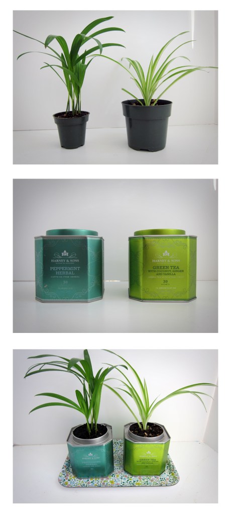 Tea Tin Planters from Alaska Knit Nat