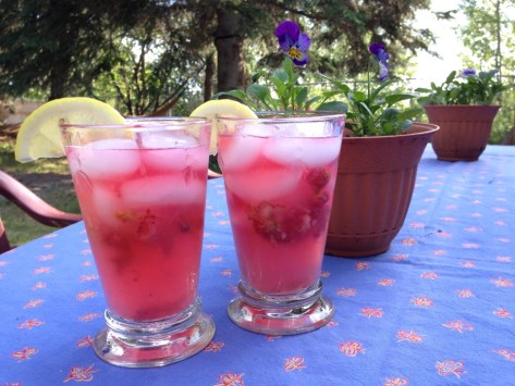 Strawberry Rhubarb Lemonade