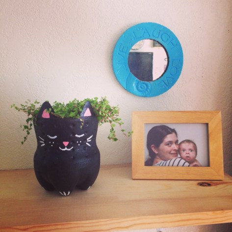 Quick craft: Recycled soda bottle kitty planters. Irresistibly cute from Alaska Knit Nat