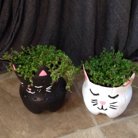 Quick craft: Recycled soda bottle kitty planters. Irresistibly cute from Alaska Knit Nat