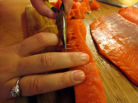 Wild Alaska Salmon Poke | Alaska Knit Nat