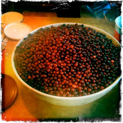 Wild Cranberry & Lemon Muffins