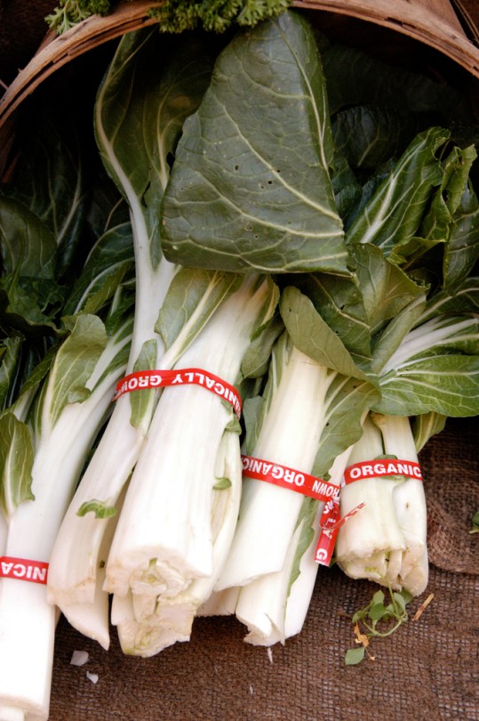 The Best Beef Stir Fry | A Free Recipe from Alaska Knit Nat