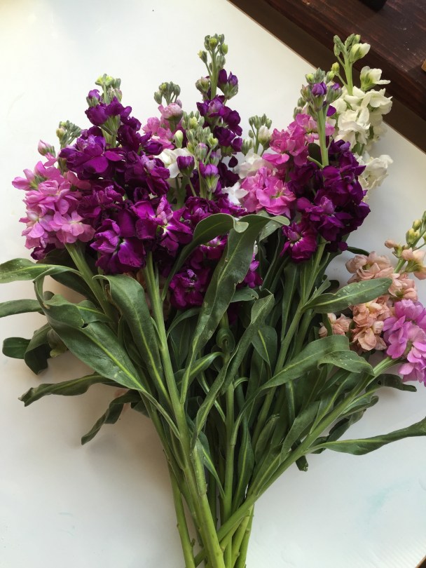 8 Simple Steps to Long-lasting Grocery Store Flowers | from Alaska Knit Nat