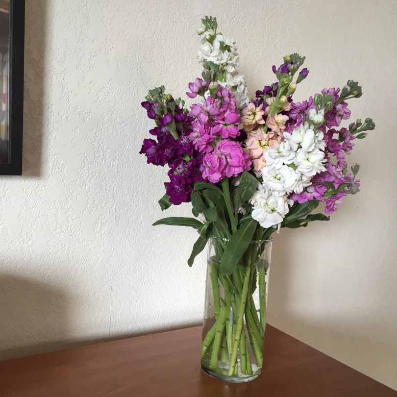 8 Simple Steps to Long-lasting Grocery Store Flowers | from Alaska Knit Nat