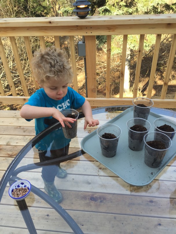 DIY mini greenhouses || a quick kids craft from Alaskaknitnat.com
