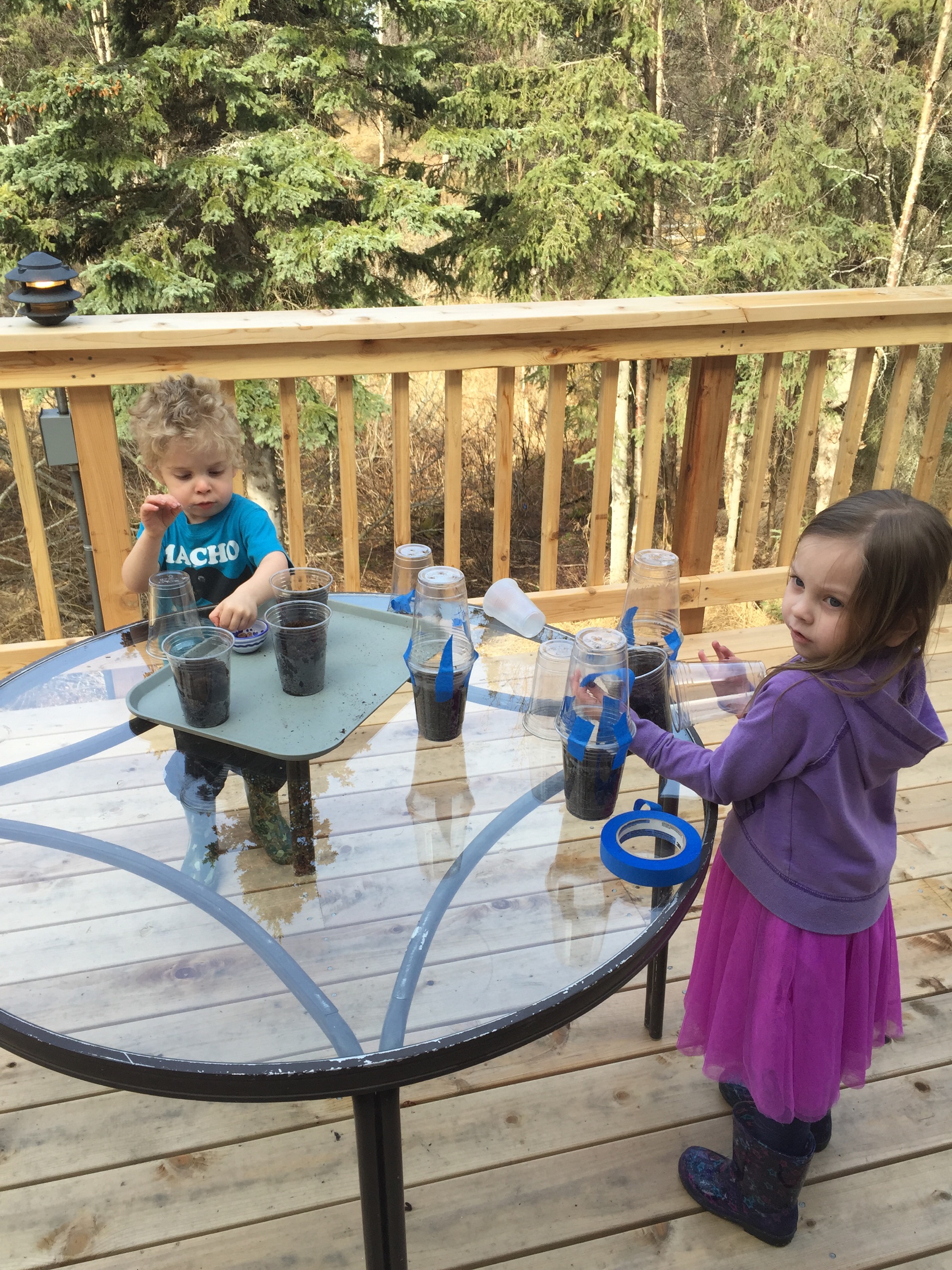 DIY mini greenhouse || a quick kids craft from Alaskaknitnat.com