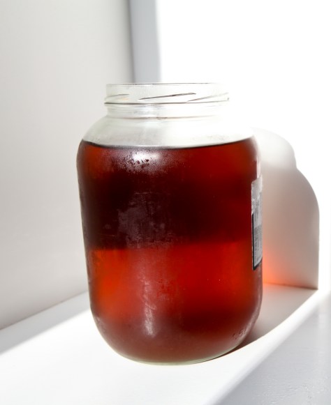 Birch tree tapping | Make your own birch syrup | Alaskaknitnat.com