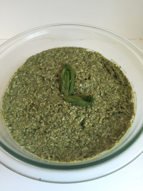 Harvesting Anchorage: Devil's Club Pesto | A free recipe from AlaskaKnitNat.com