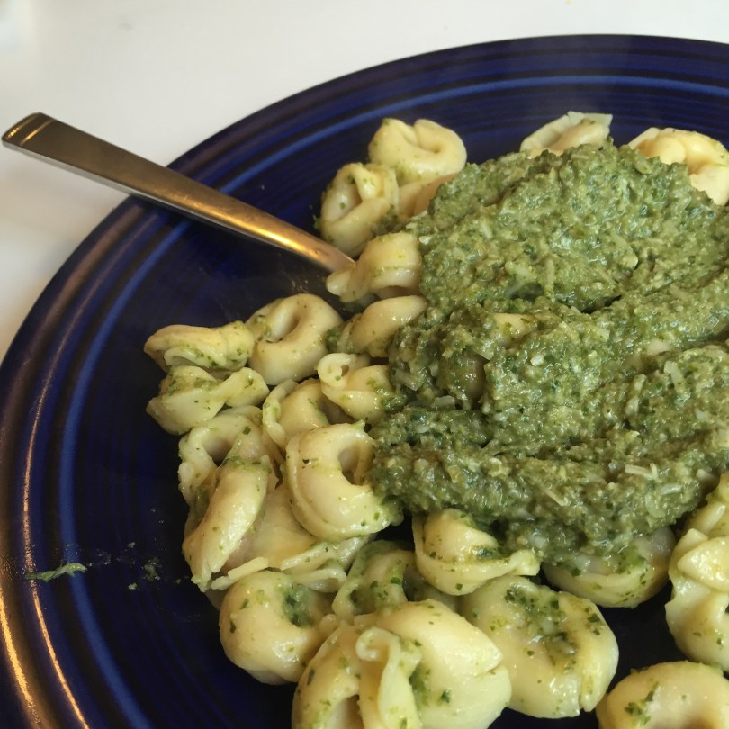 Harvesting Anchorage: Devil's Club Pesto | A free recipe from AlaskaKnitNat.com
