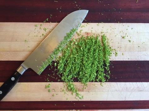 Harvesting Anchorage: Spruce tips | Alaskaknitnat.com