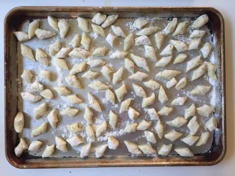 Harvesting Anchorage: Spruce tips | Alaskaknitnat.com