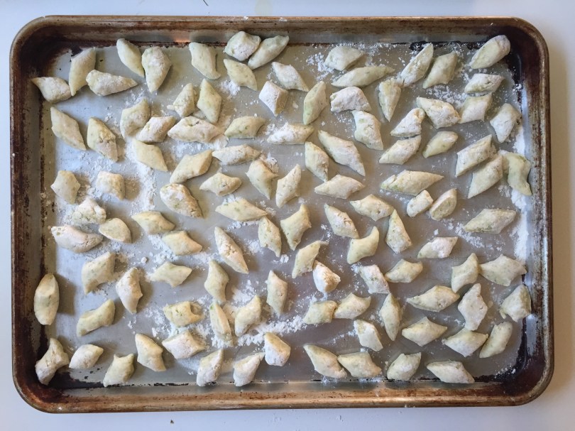 Harvesting Anchorage: Spruce tips | Alaskaknitnat.com