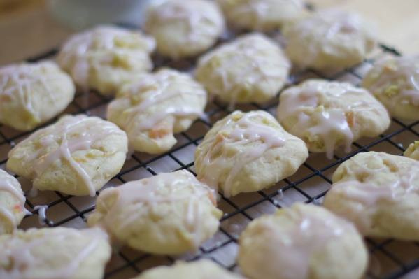 Harvesting Anchorage: Wild Rose and Rhubarb Cookies | A recipe from Alaskaknitnat.com