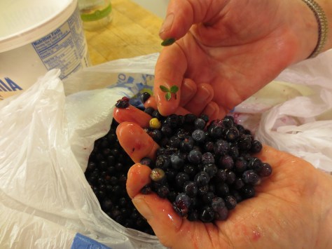 Harvesting Anchorage: Mama's Blueberry Jam | A recipe from alaskaknitnat.com