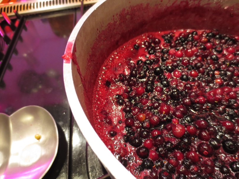 Harvesting Anchorage: Mama's Blueberry Jam | A recipe from alaskaknitnat.com