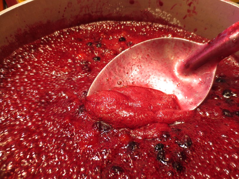 Harvesting Anchorage: Mama's Blueberry Jam | A recipe from alaskaknitnat.com