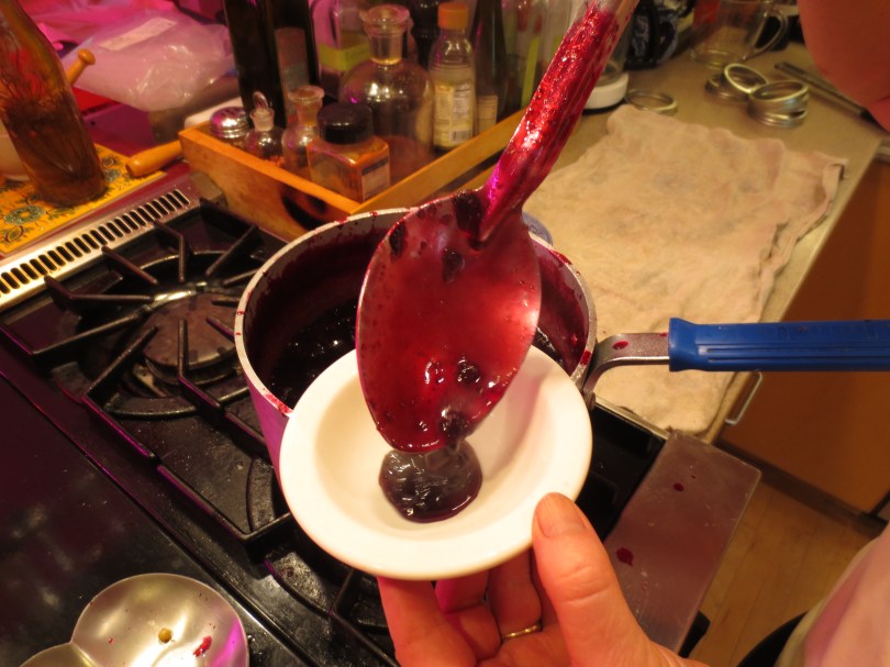 Harvesting Anchorage: Mama's Blueberry Jam | A recipe from alaskaknitnat.com