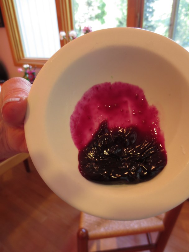 Harvesting Anchorage: Mama's Blueberry Jam | A recipe from alaskaknitnat.com