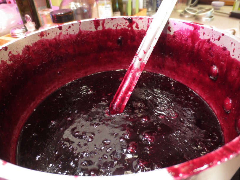 Harvesting Anchorage: Mama's Blueberry Jam | A recipe from alaskaknitnat.com