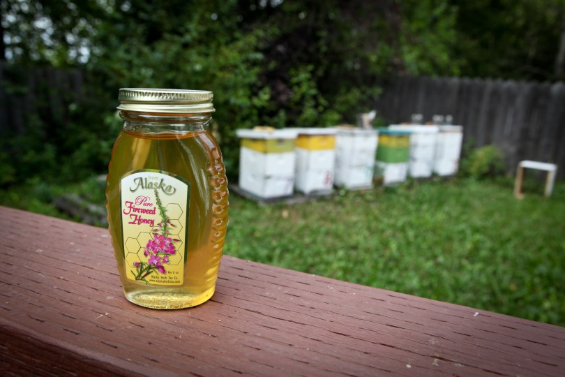 Harvesting Anchorage: Honey + Wildflower Tea | A profile of Ivan Night, Alaska beekeeper and mead maker