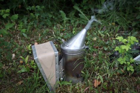 Harvesting Anchorage: Honey + Wildflower Tea | A profile of Ivan Night, Alaska beekeeper and mead maker