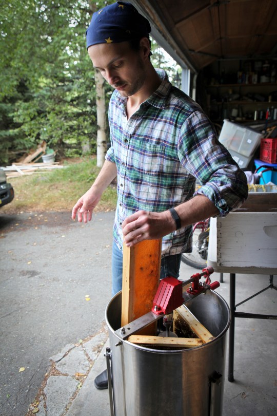 Harvesting Anchorage: Honey + Wildflower Tea | A profile of Ivan Night, Alaska beekeeper and mead maker