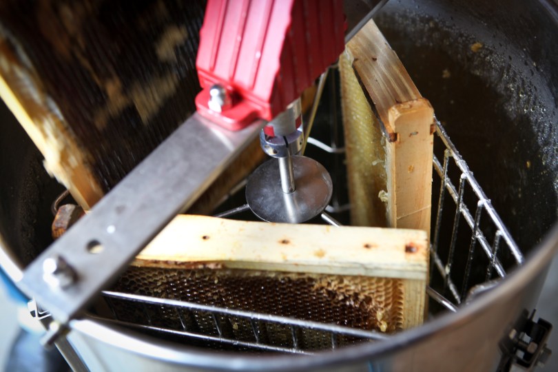 Harvesting Anchorage: Honey + Wildflower Tea | A profile of Ivan Night, Alaska beekeeper and mead maker