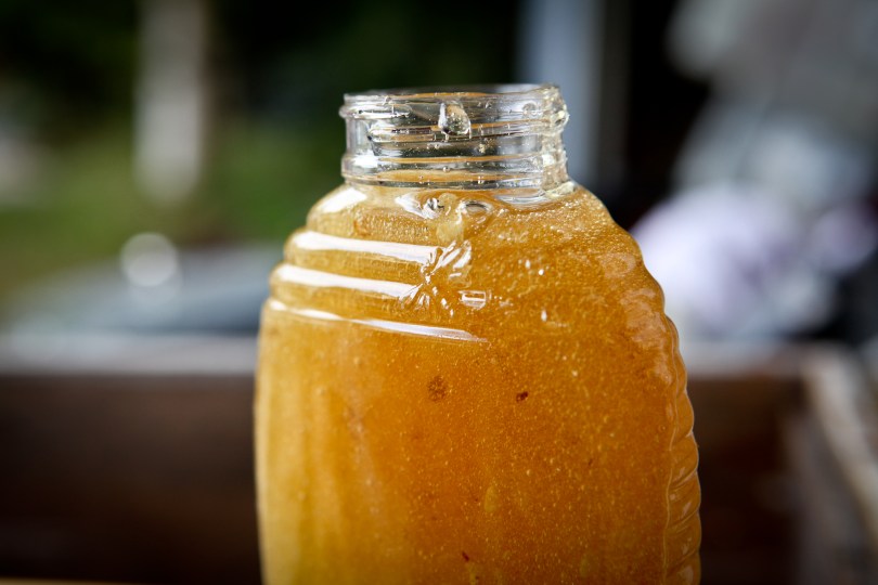 Harvesting Anchorage: Honey + Wildflower Tea | A profile of Ivan Night, Alaska beekeeper and mead maker