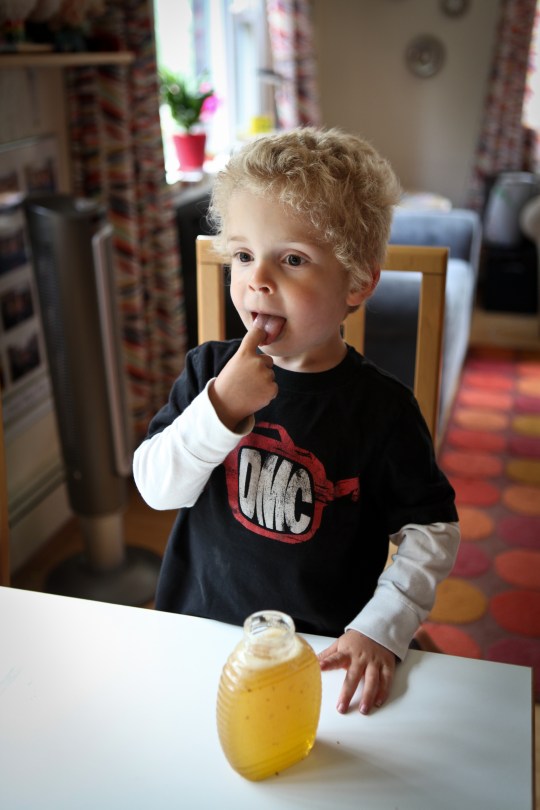 Harvesting Anchorage: Honey + Wildflower Tea | A profile of Ivan Night, Alaska beekeeper and mead maker