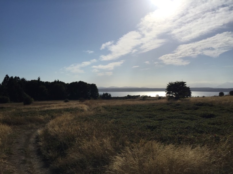 Harvesting Seattle: Blackberry Peach Pepper Pie | An adaptation from Alaskaknitnat.com