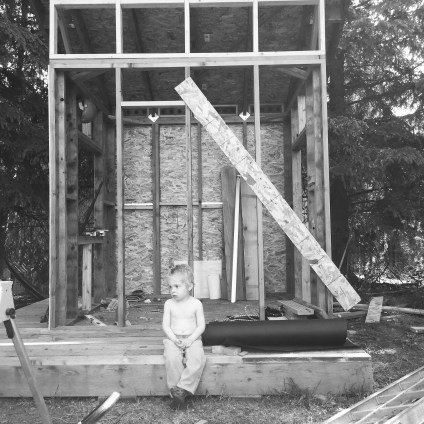 Tiny Anchorage Living: a backyard dream house