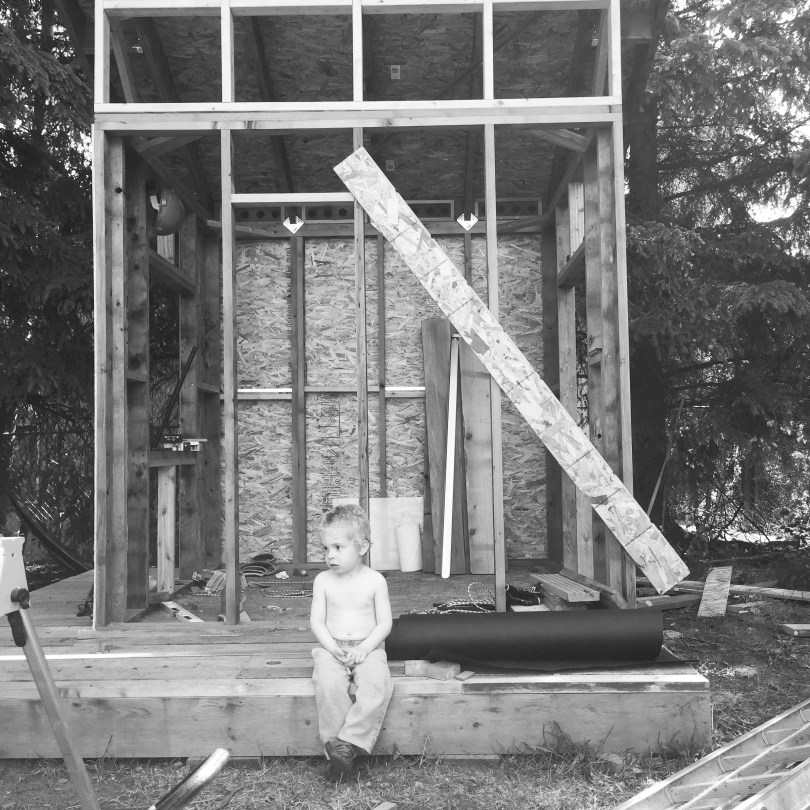 Tiny Anchorage Living: a backyard dream house