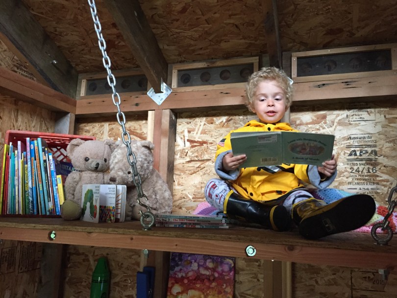 Tiny Anchorage Living: a backyard dream house