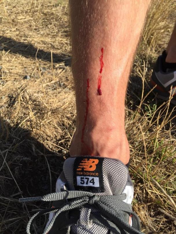 Harvesting Seattle: Blackberry Peach Pepper Pie | An adaptation from Alaskaknitnat.com