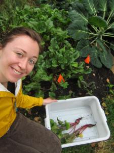 Harvesting Anchorage: Pickling and canning beets in Alaska | A great step-by-step tutorial by the Alaska Urban Soil Project