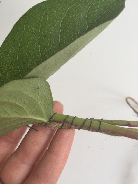 DIY fresh garland | Follow this simple tutorial so you can decorate your home with fresh greens all year long. Alaskaknitnat.com