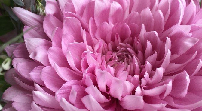 DIY Mother’s Day Arrangement – a step-by-step tutorial