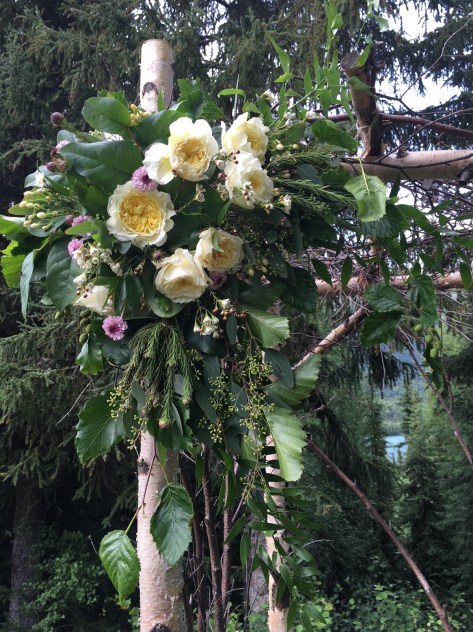 Floral wedding arch arrangements made with garden roses, button mums, hypericum, wax flower, eucalyptus and foraged Alaska greens. |Designed by Natasha Price of Alaskaknitnat.com