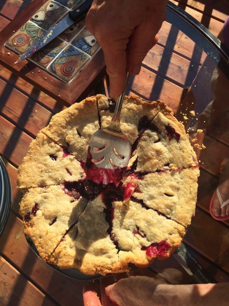 Summer in Alaska: Blueberries, Mushrooms, Peonies & Mimosas