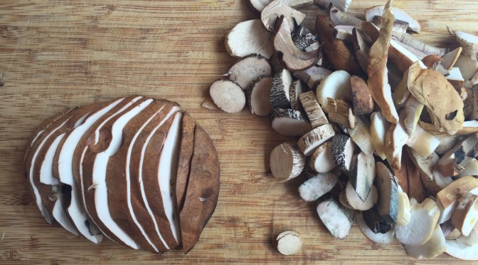 White vegetarian lasagna with wild porcini