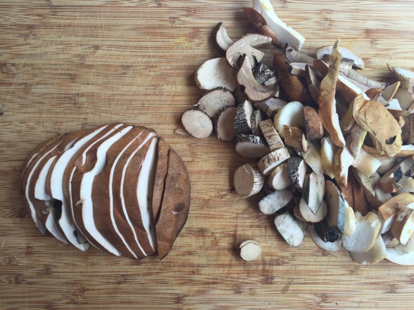 Wild porcini mushrooms, also called boletus, found in my yard in Anchorage, Alaska