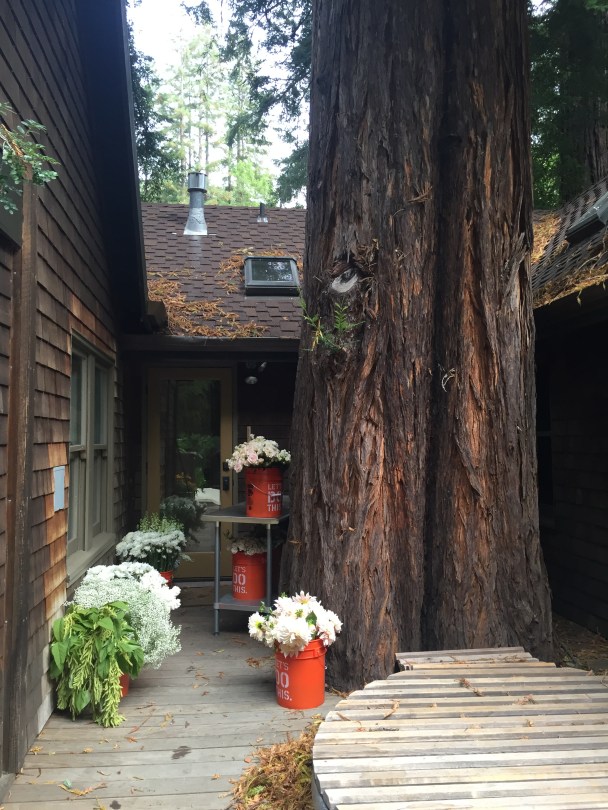 Our workspace in Larkspur, CA